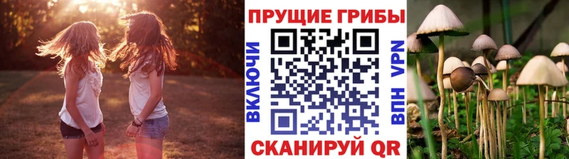 Галлюциногенные грибы Cubensis  цена наркотик  Уржум 